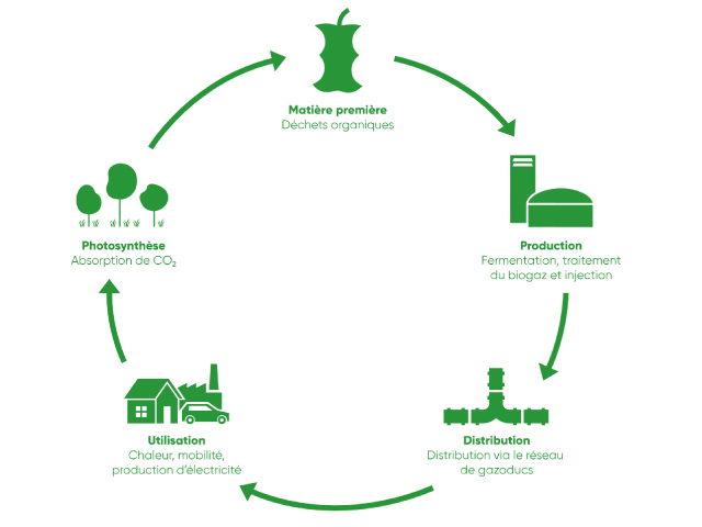 Energie : le biogaz comparé aux autres sources d'énergie
