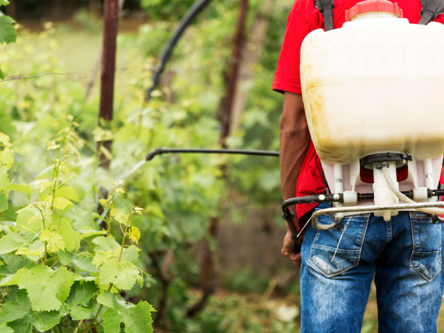 Le lobbying et étude de cas glyphosate et Monsanto