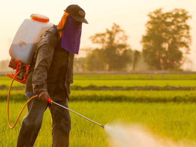 Les produits et pratiques de remplacement aux pesticides 