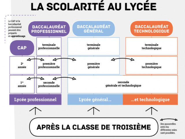 Les différentes filières du baccaulauréat technologique