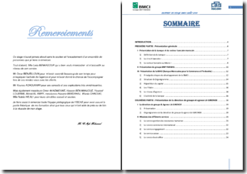 TÉLÉCHARGER RAPPORT DE STAGE BMCI STAGE BMCI RAPPORT DE TÉLÉCHARGER