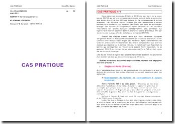 Cas Pratique Droit Pénal Des Affaires - 