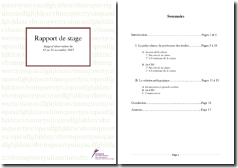 Exemple De Rapport De Stage Dans Une école Maternelle  Le Meilleur Exemple